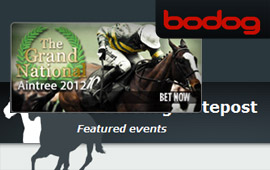 Bet on the 2012 Grand National