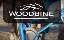 All harness racing entries to be paid at Woodbine
