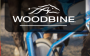 All harness racing entries to be paid at Woodbine